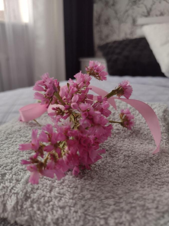 Apartament Nad Jeziorakiem Iława Buitenkant foto